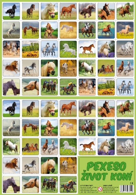 Memory Game: Life of Horses