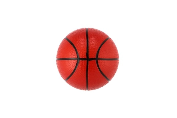 Basketball Set with Wooden Backboard, Ball, and Pump