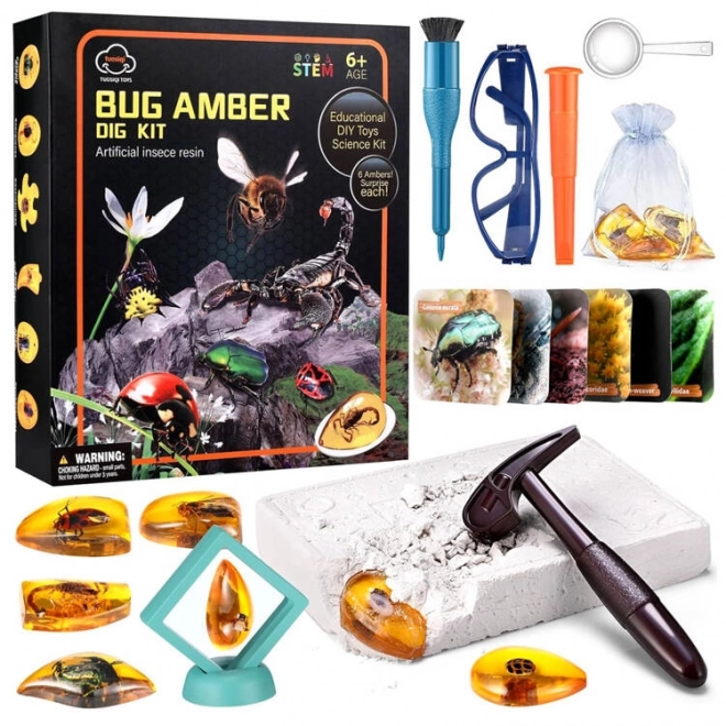 Amber Fossil Insect Excavation Archaeologist Set