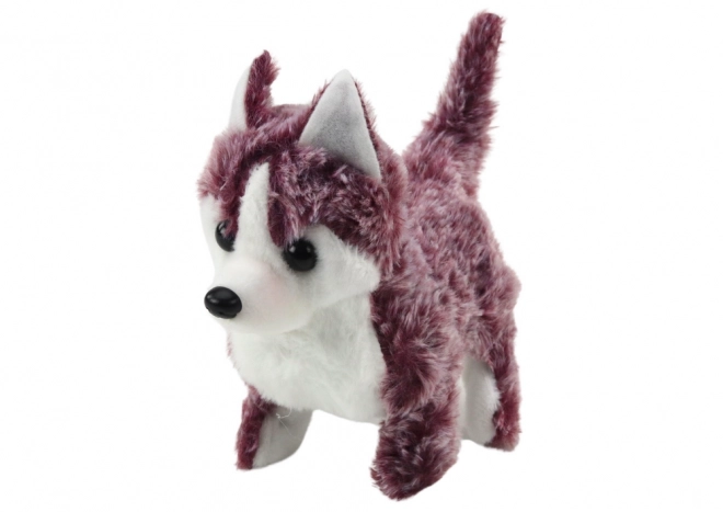 Interactive Husky Dog Toy with Sound and Movements