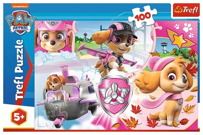 Puzzle 100 Pieces - PAW Patrol Skye in Action