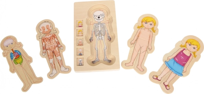 Small Foot Wooden Anatomy Puzzle