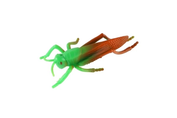 Realistic Insect Figures Set