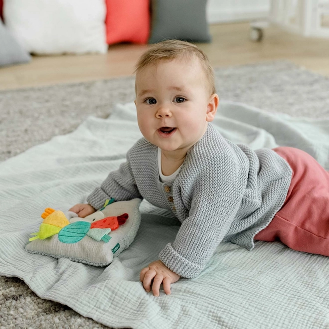 Butterfly Plush Pillow for Babies