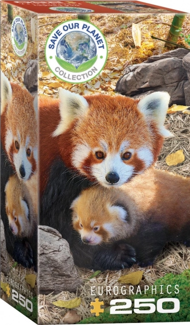 Eurographics Puzzle Save Our Planet Red Pandas XL 250 Pieces