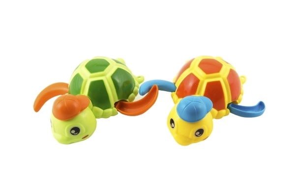 Wind-up Water Turtle Toy