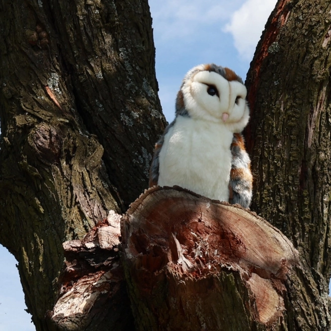 Soffice Gufo Peluche ECO-FRIENDLY 27 cm