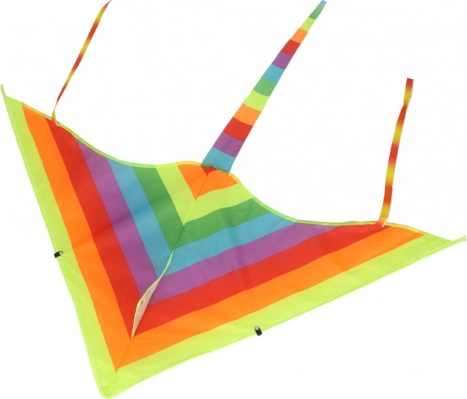 Large colorful rainbow kite for children