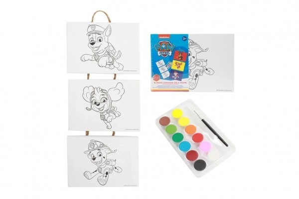 Mini Leinwand am Seil 3er-Set 18x13cm Paw Patrol mit Pinsel und Farben in Folie