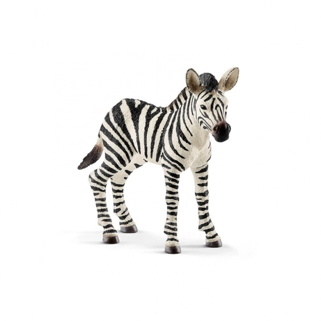 Wild Life Baby Zebra Figure