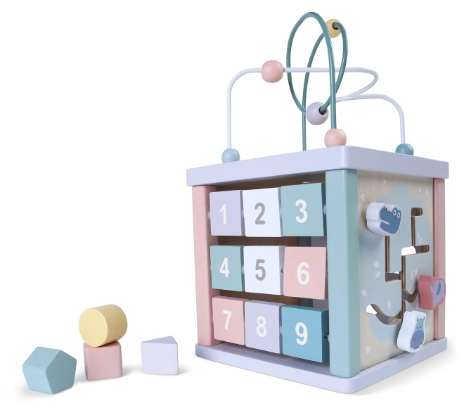 Wooden Learning Cube with Shape Sorter and Clock