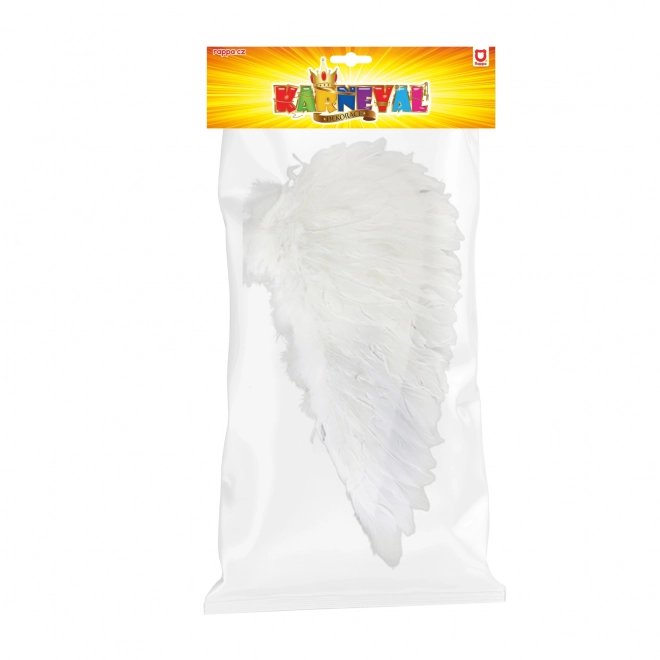 Angel Feather Wings