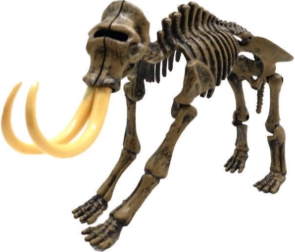Realističan 3D kostur mamuta