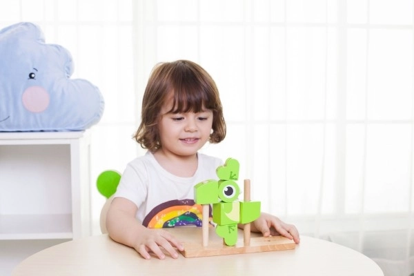 Wooden Frog Puzzle Playset