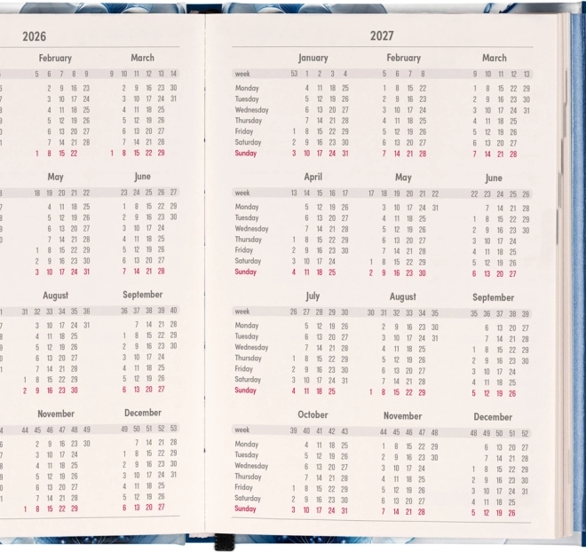 Notique Weekly Magnetic Diary Porcelain Flower 2026