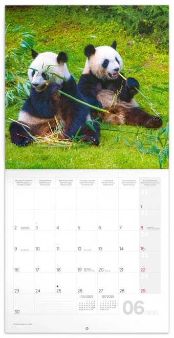 Notique Panda Note Calendar 2025