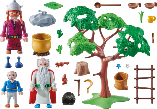 Playmobil Asterix Magic Potion Druid Set