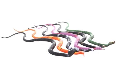 Rubber Snake Toy