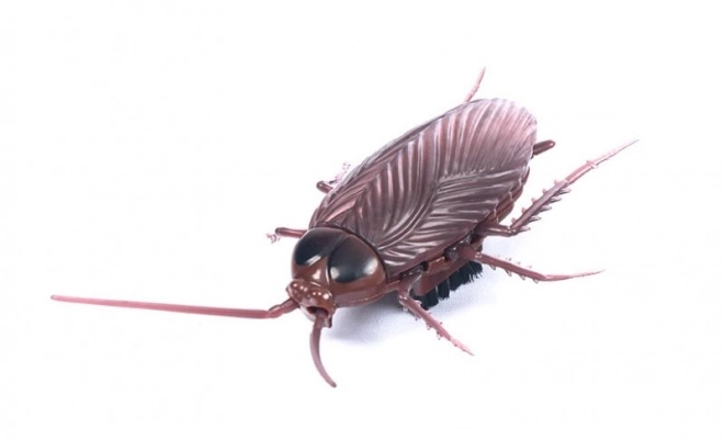 Realistic Vibrating Cockroach Toy