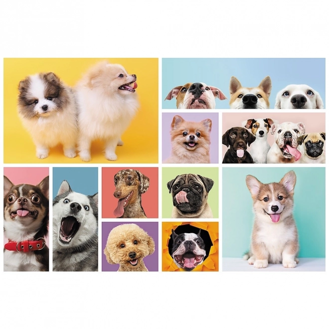 Dog Friendship Puzzle