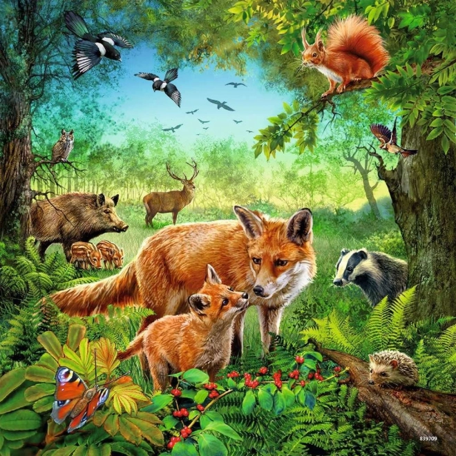 Ravensburger Animal Puzzles Set