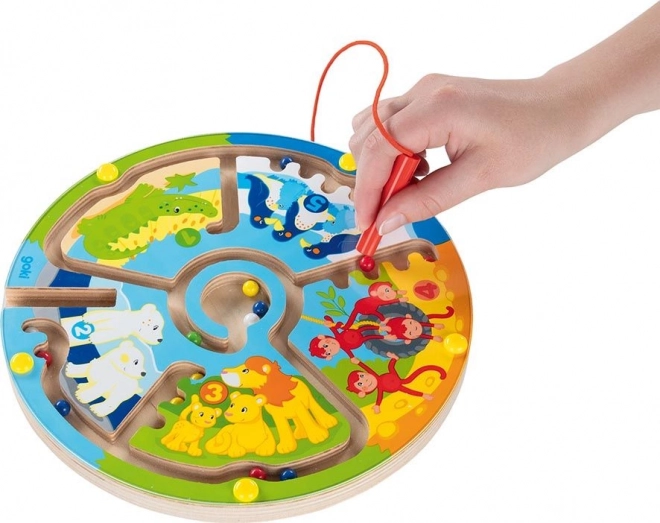 Magnetic Animal and Number Maze