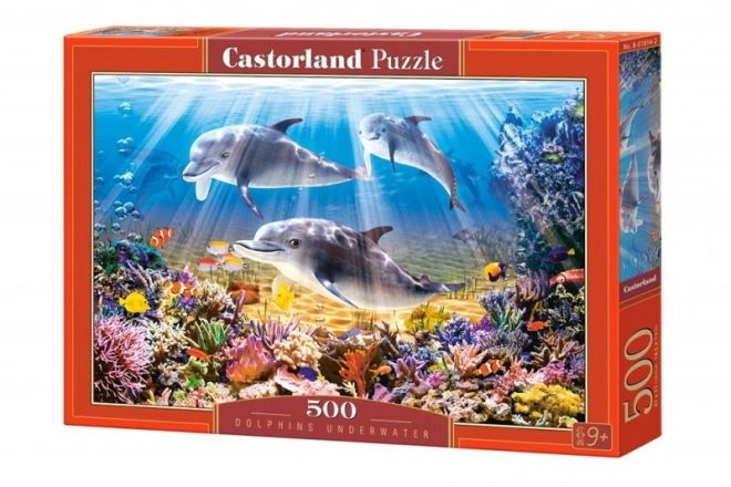 Dolphins Underwater Puzzle