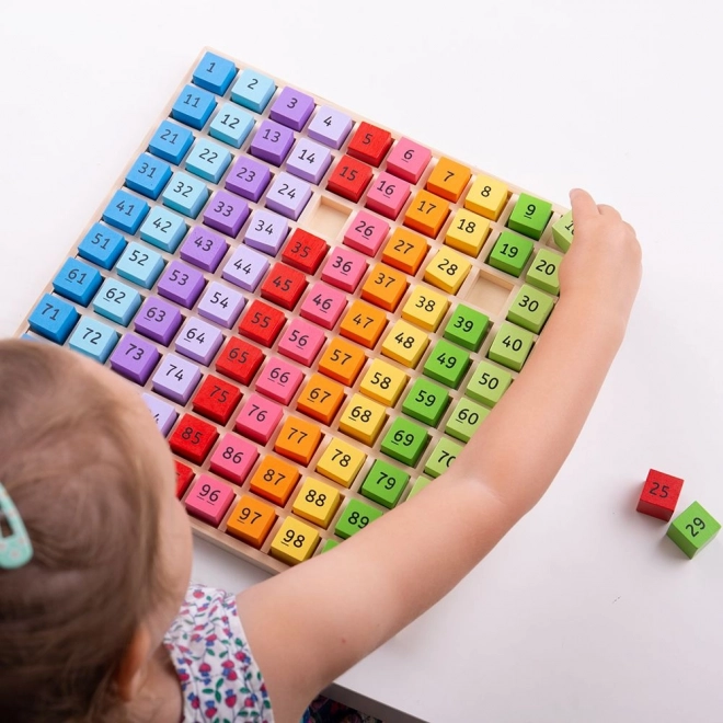 Wooden Numbers Learning Set