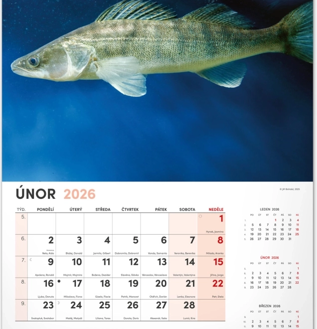 Calendrier mural de pêche 2026