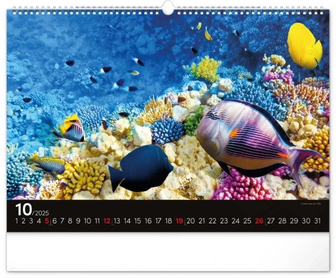 Wall Calendar Ocean 2025