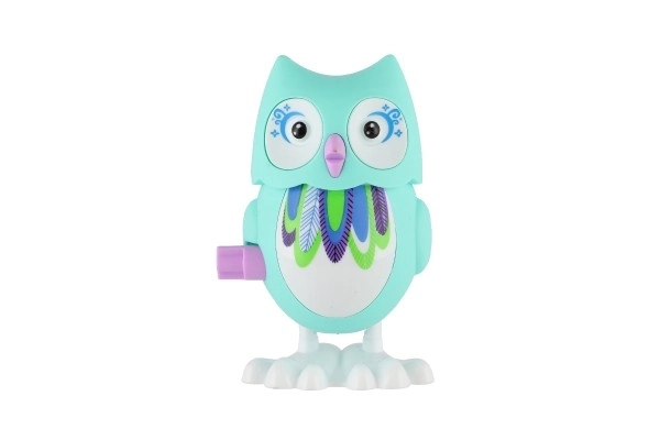 Colorful Wind-Up Owl Toy