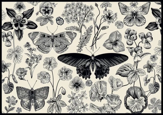 Puzzle INTERDRUK Butterflies and Flowers 500 Pieces