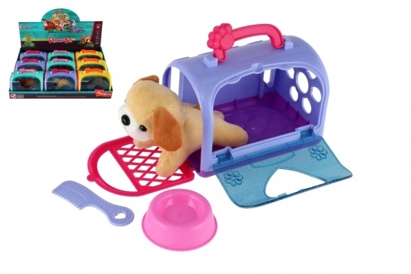 Doggy in a Transport Box with Accessories