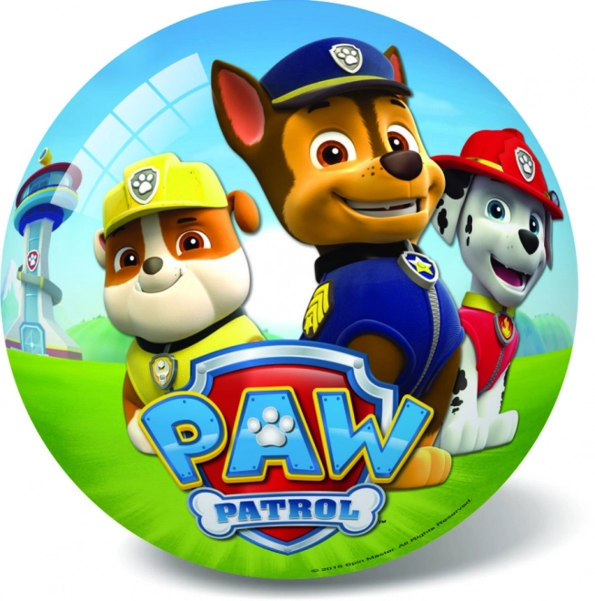 Paw Patrol Inflatable Ball