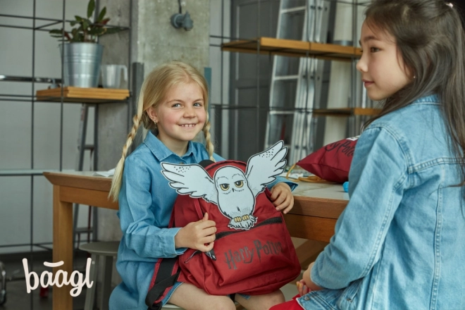 Preschool Backpack Harry Potter Hedwig