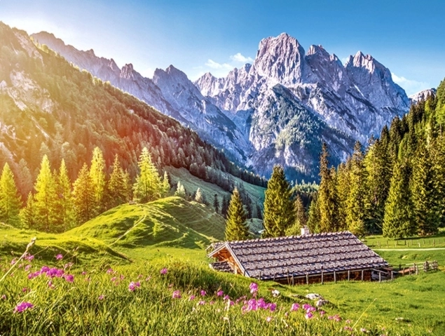 Summer in the Alps Jigsaw Puzzle 500 Pieces