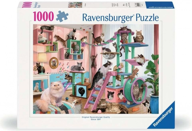 Puzzle Cat's Heaven 1000 Pieces