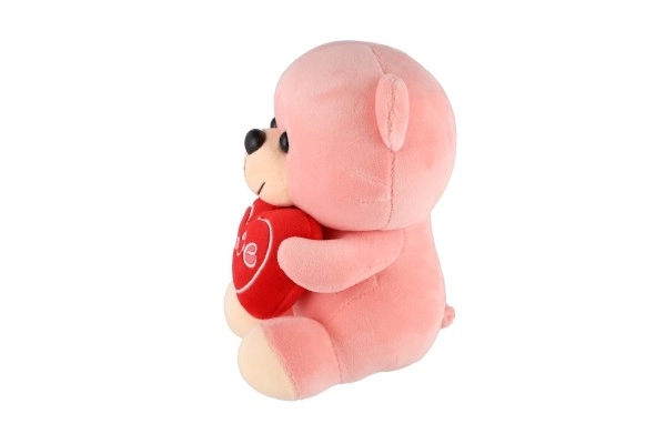 Plush Bear with Heart 19cm