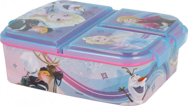 Frozen Lunch Multi Box