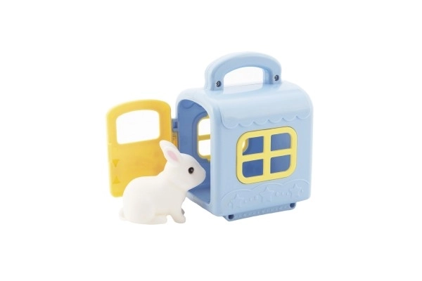 Pet Transport Box with Figure