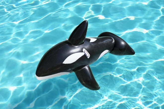 Inflatable Orca for Kids