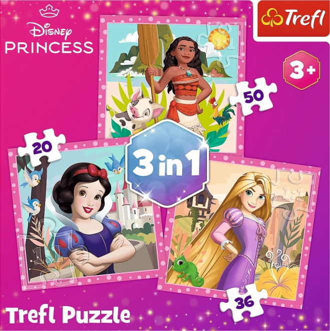 Disney Princess Puzzles Beautiful Flowers