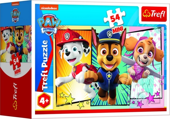 Paw Patrol Mini Puzzle Box