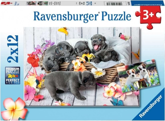 Cute Puppies Puzzle Set