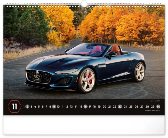 Cars Wall Calendar 2025