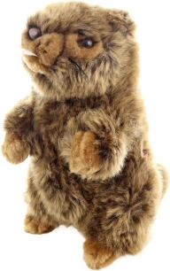Plush Marmot with Sound Eco-Friendly
