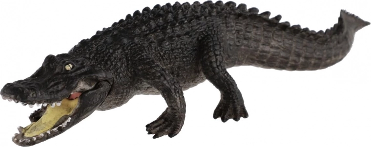 Realistic details for an authentic experience