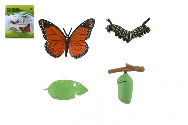 Butterfly Life Cycle Educational Set