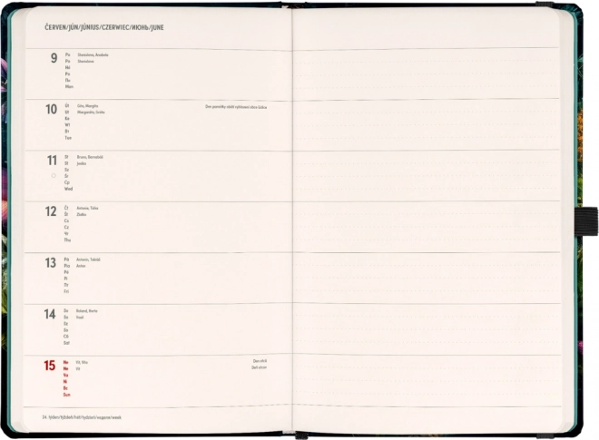 Notique Weekly Planner Butterfly 2025