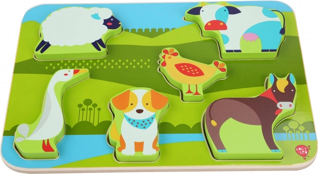 Colorful and safe wooden pieces